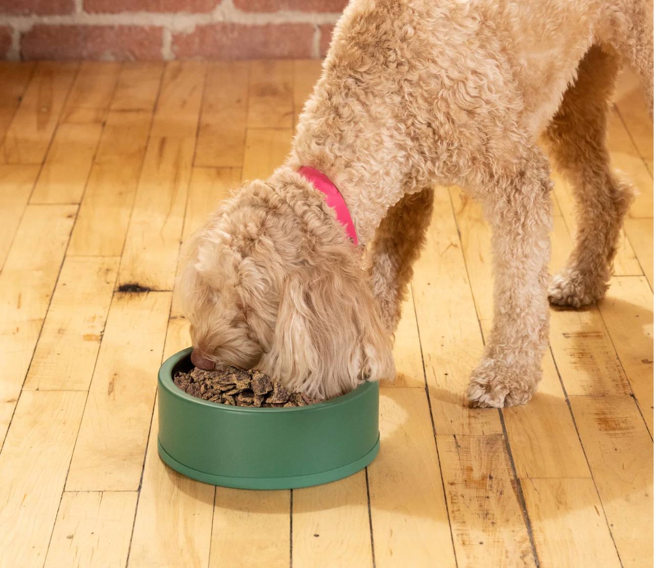 Harvest Chicken Air Dried Recipe for Dogs - Image 5