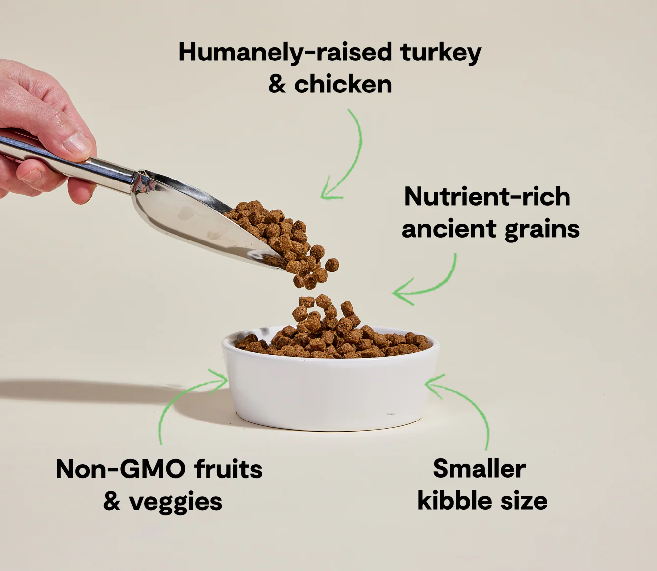 Small Breed Ancient Grains Dog Kibble - Image 4