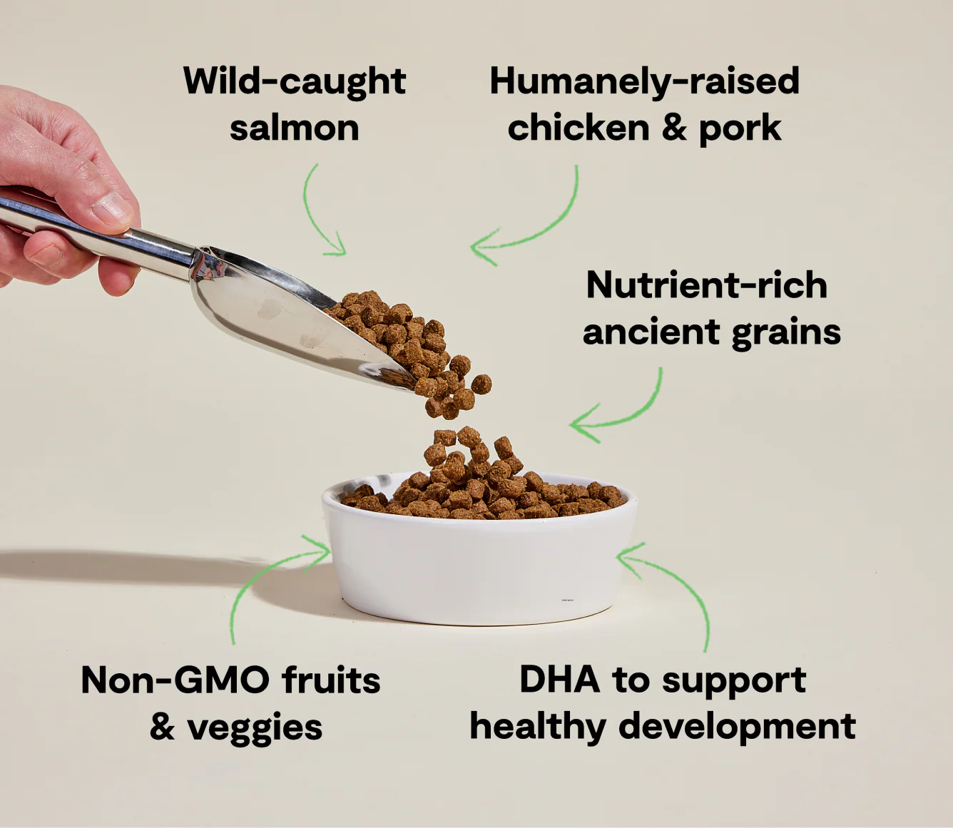 Chicken & Salmon Ancient Grains Puppy Kibble - Image 4