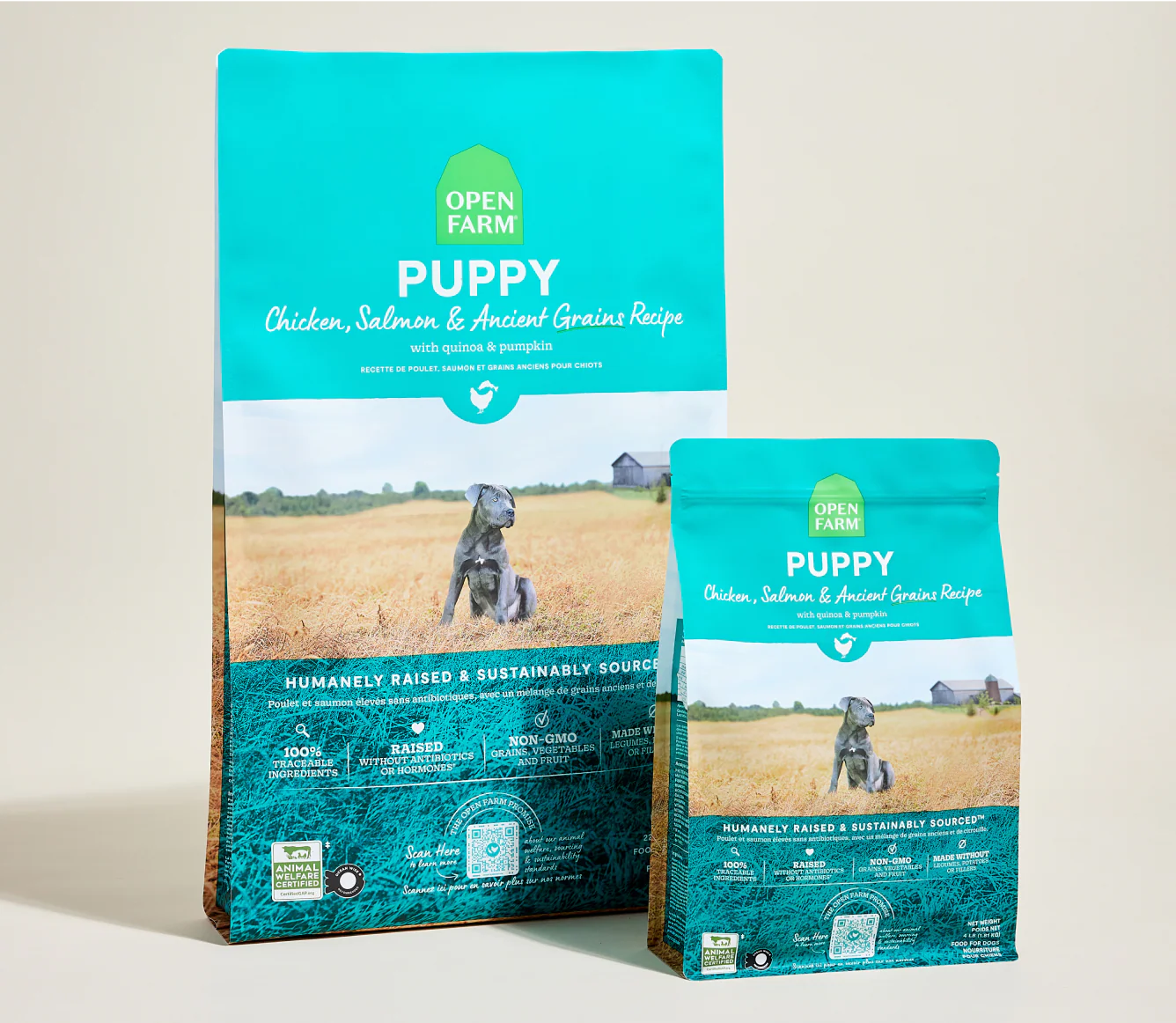 Chicken & Salmon Ancient Grains Puppy Kibble - Image 7