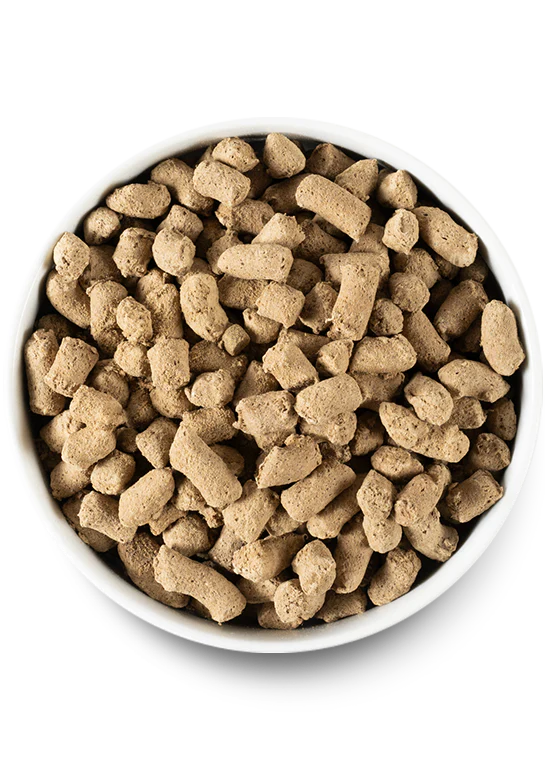 Ancient Grains Puppy Pack - Image 5