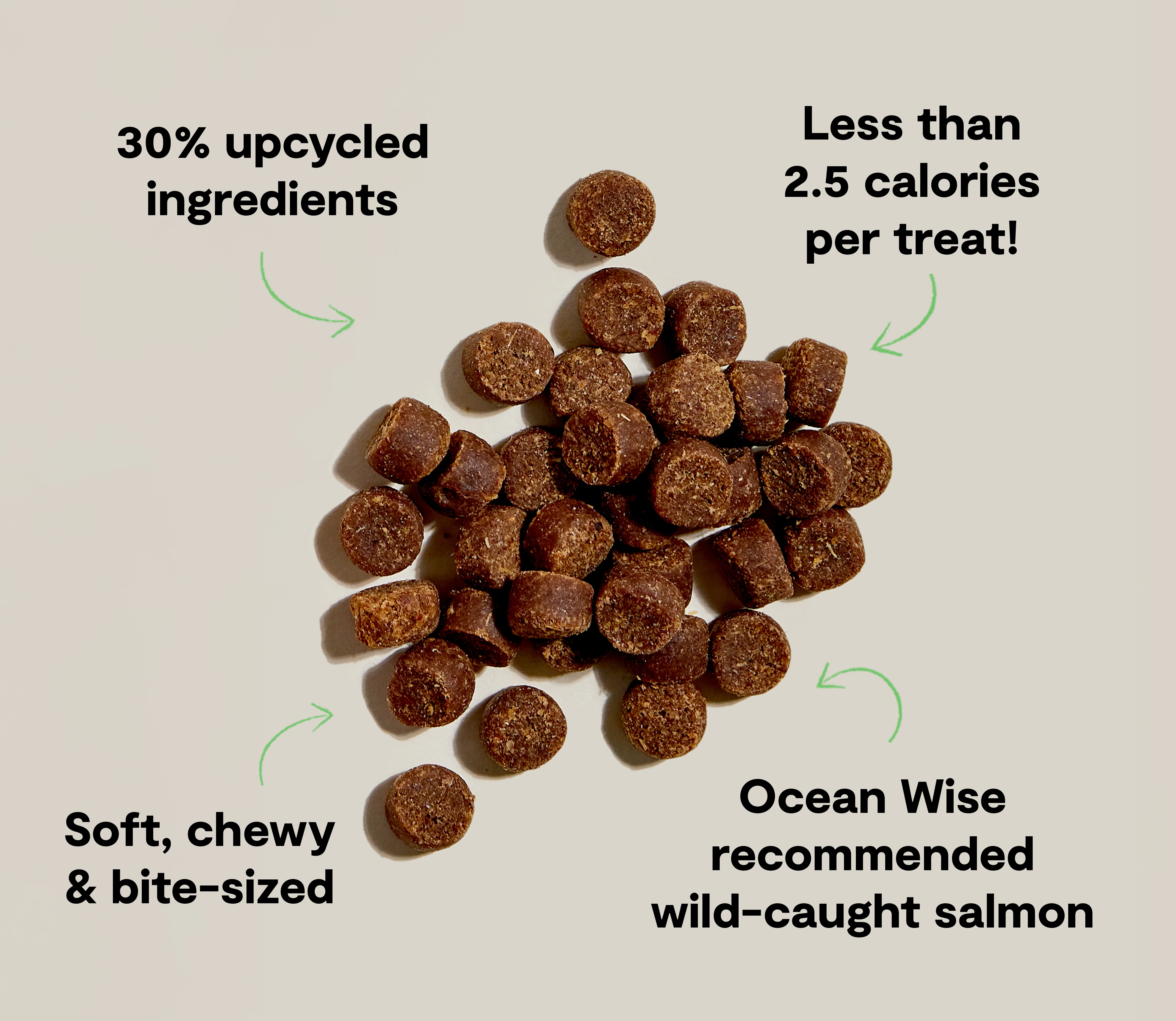 Be Good Bites Wild-Caught Salmon Recipe Treats - Image 5
