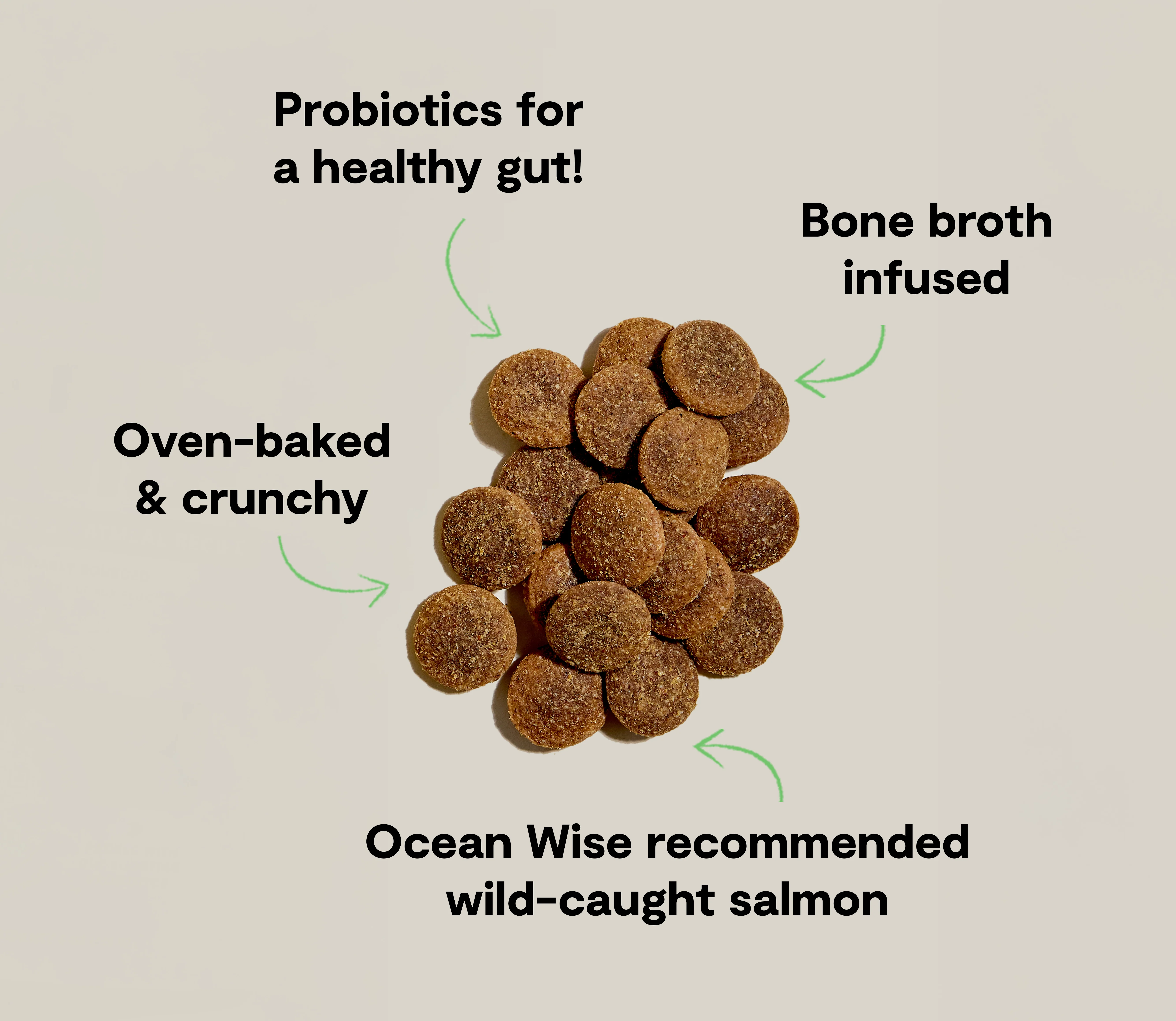 Better Biscuits Wild-Caught Salmon & Oatmeal Treats - Image 5