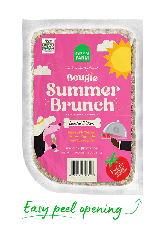 Bougie Summer Brunch Gently Cooked - Image 3