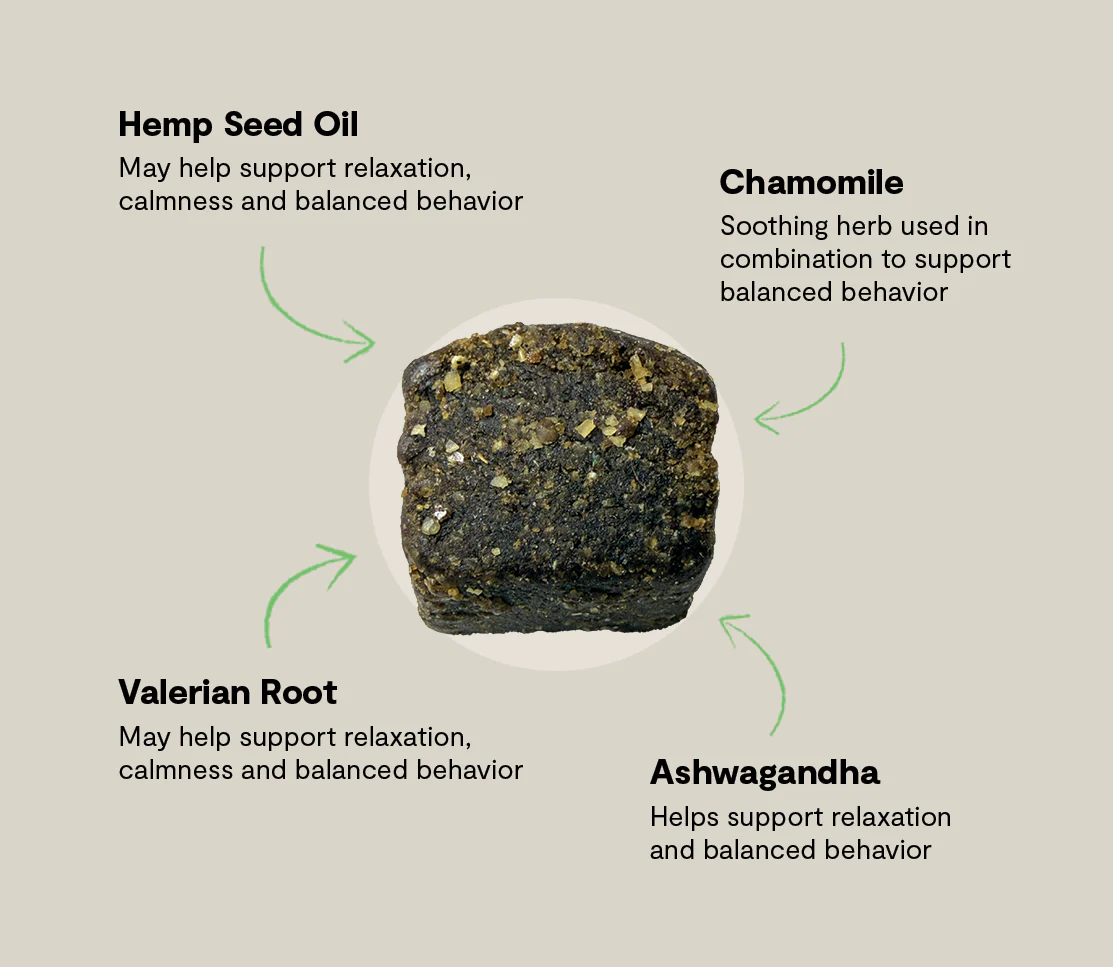 Calming Supplement Chews for Dogs - Image 4