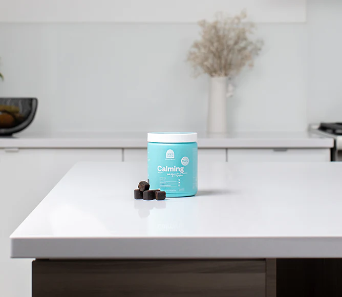 Calming Health Supplement Chews for Dogs - Image 4
