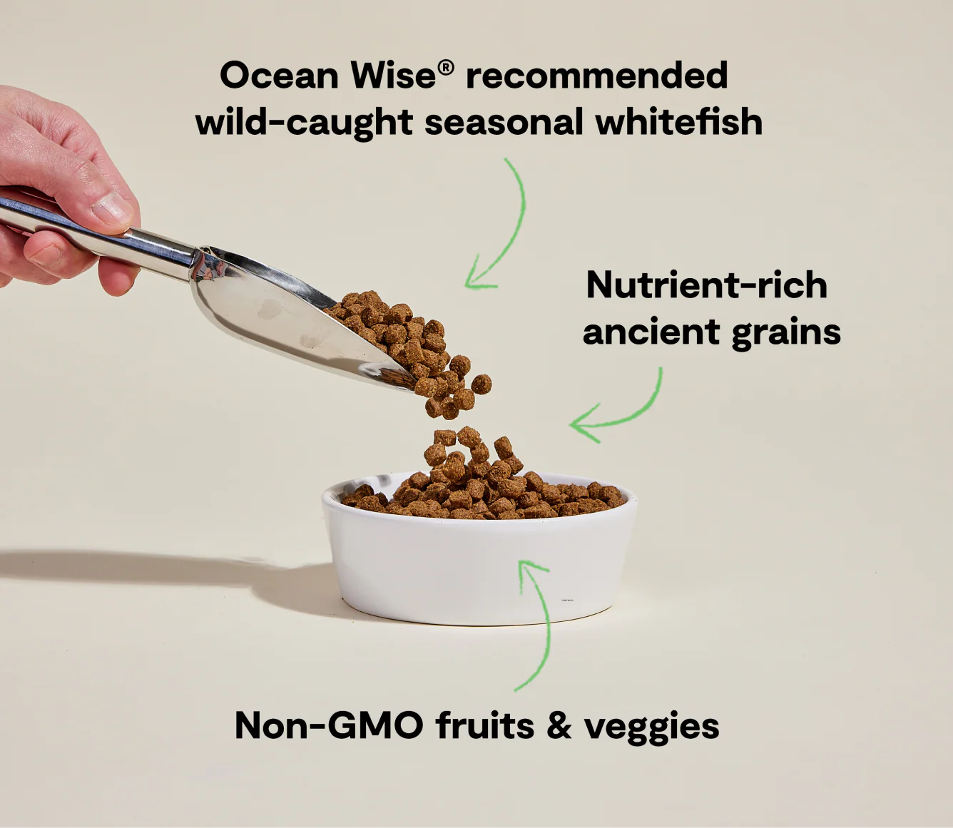 Whitefish & Ancient Grains Dog Kibble - Image 4