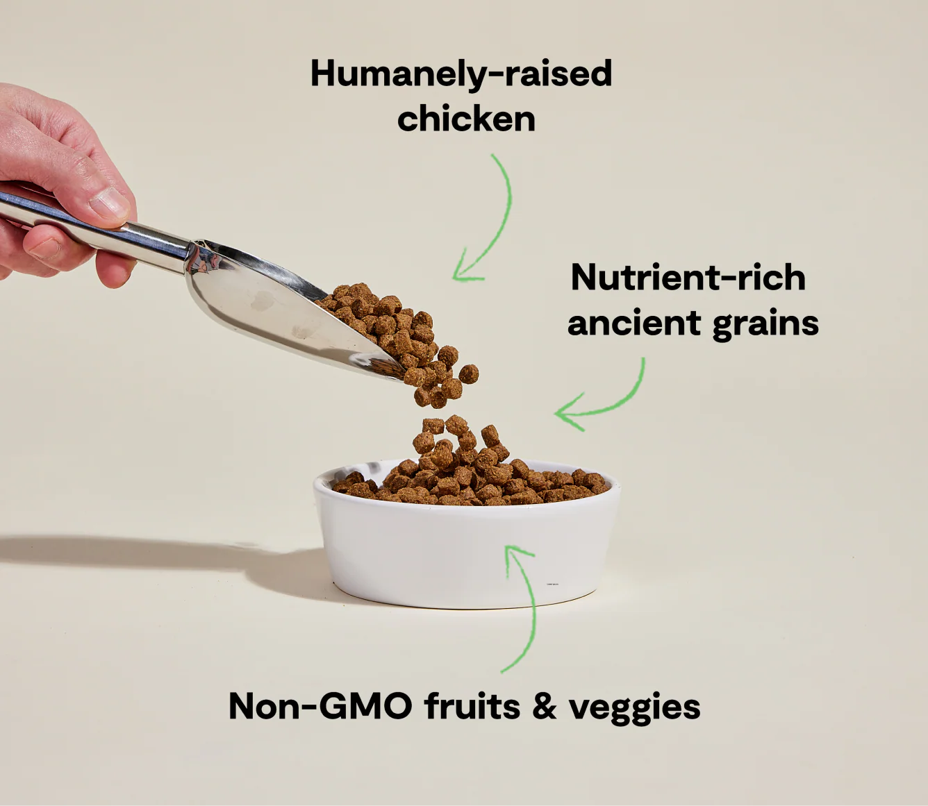 Harvest Chicken & Ancient Grains Dog Kibble - Image 4