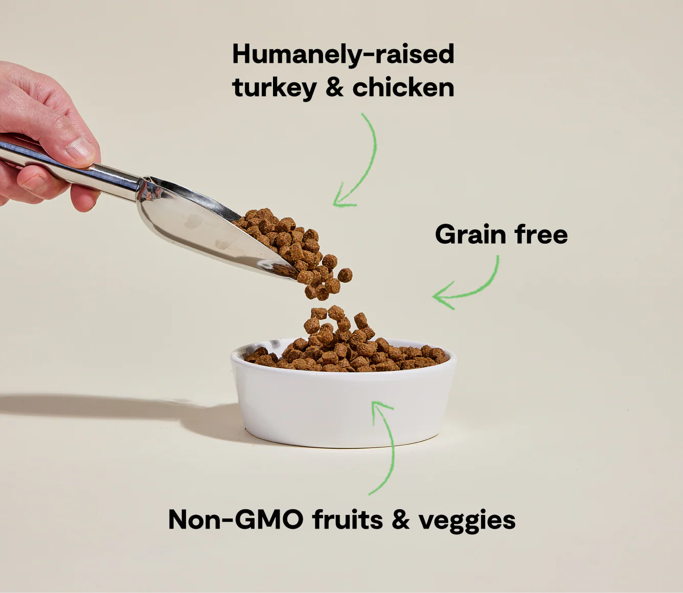 Homestead Turkey & Chicken Grain-Free Dog Kibble - Image 4