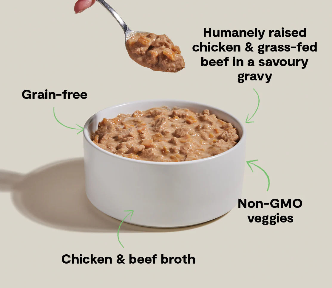 Chicken & Grass-Fed Beef Hearty Stew Wet Dog Food - Image 4