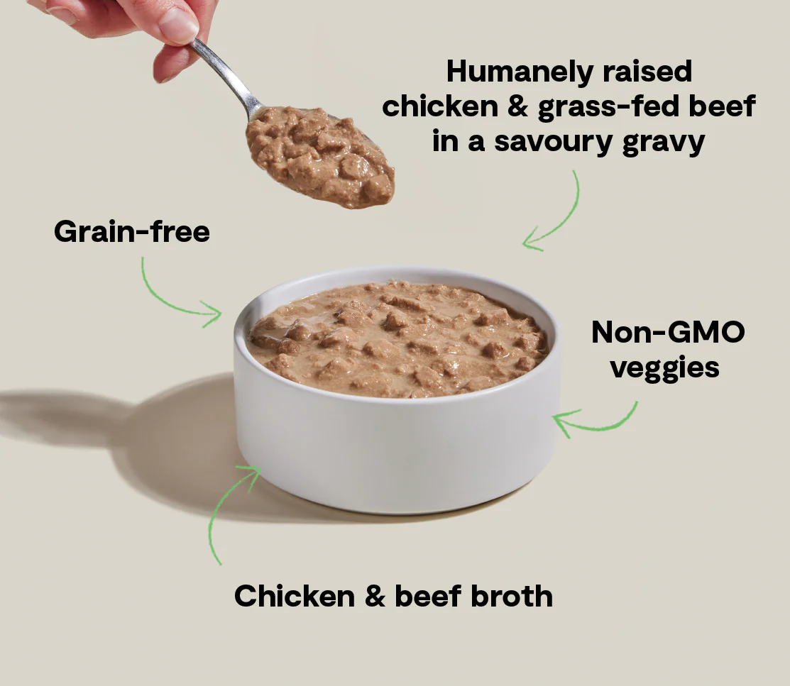 Chicken & Grass-Fed Beef Morsels in Gravy for Cats - Image 4