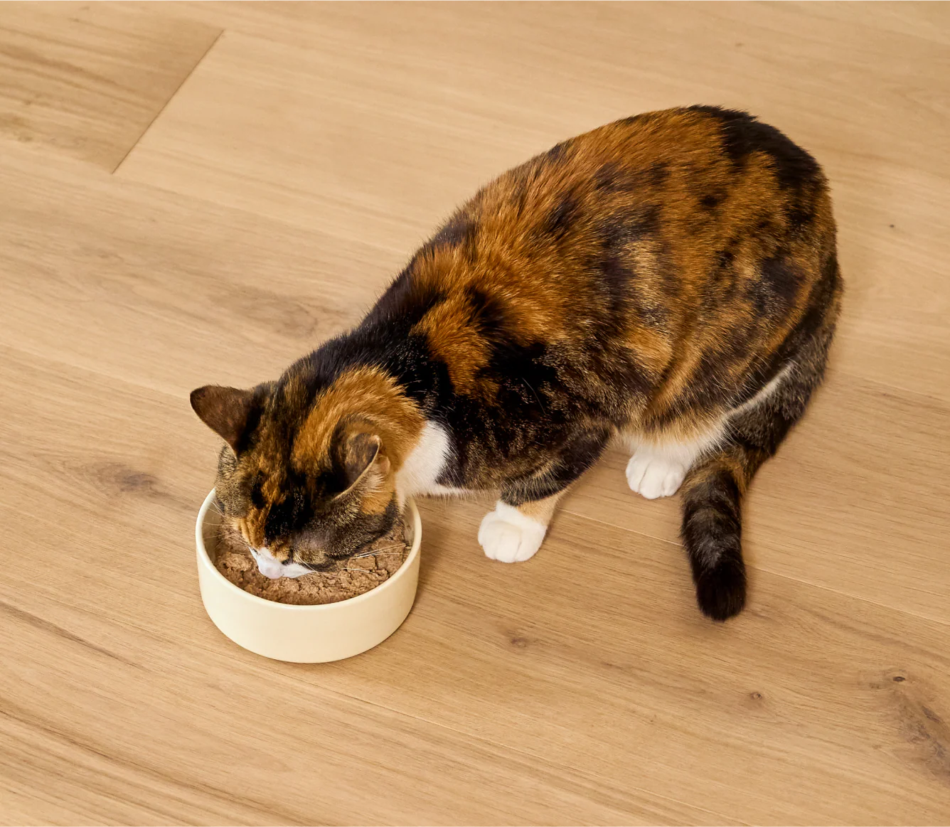 Chicken & Pollock Healthy Weight Pâté for Cats - Image 5