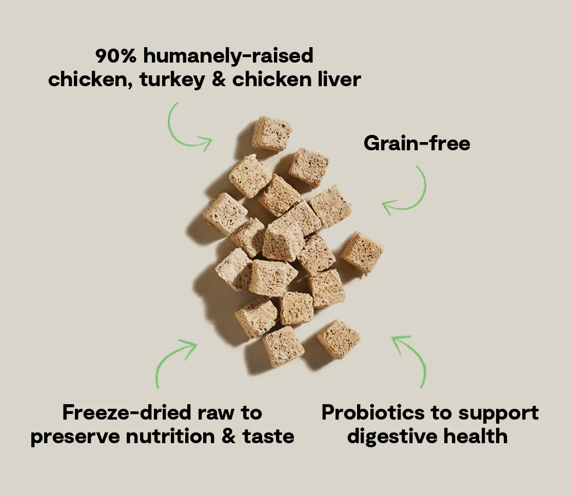 Chicken & Turkey Kitty Cube Treats - Image 5
