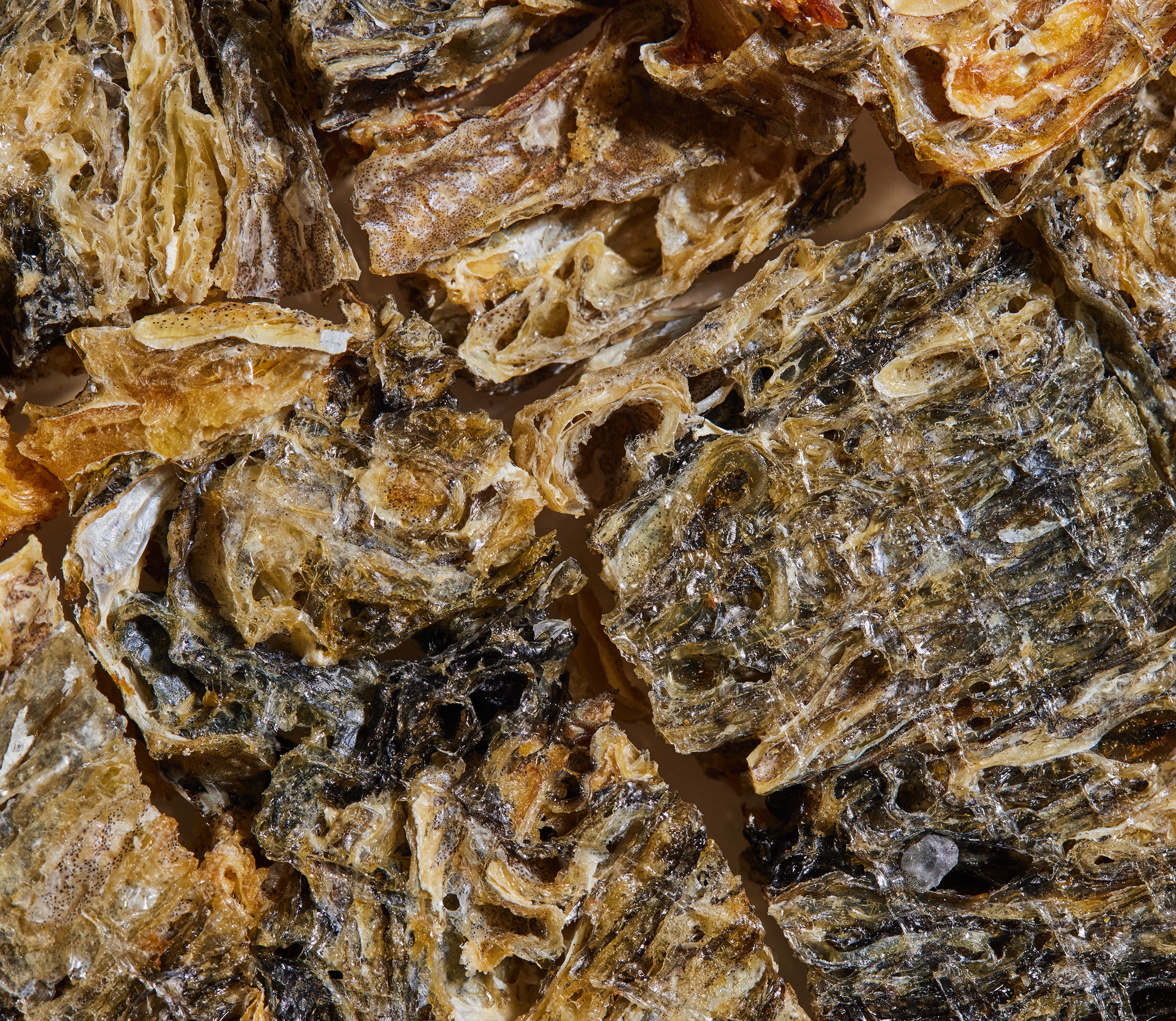 Dehydrated Cod Skins Treats - Image 4