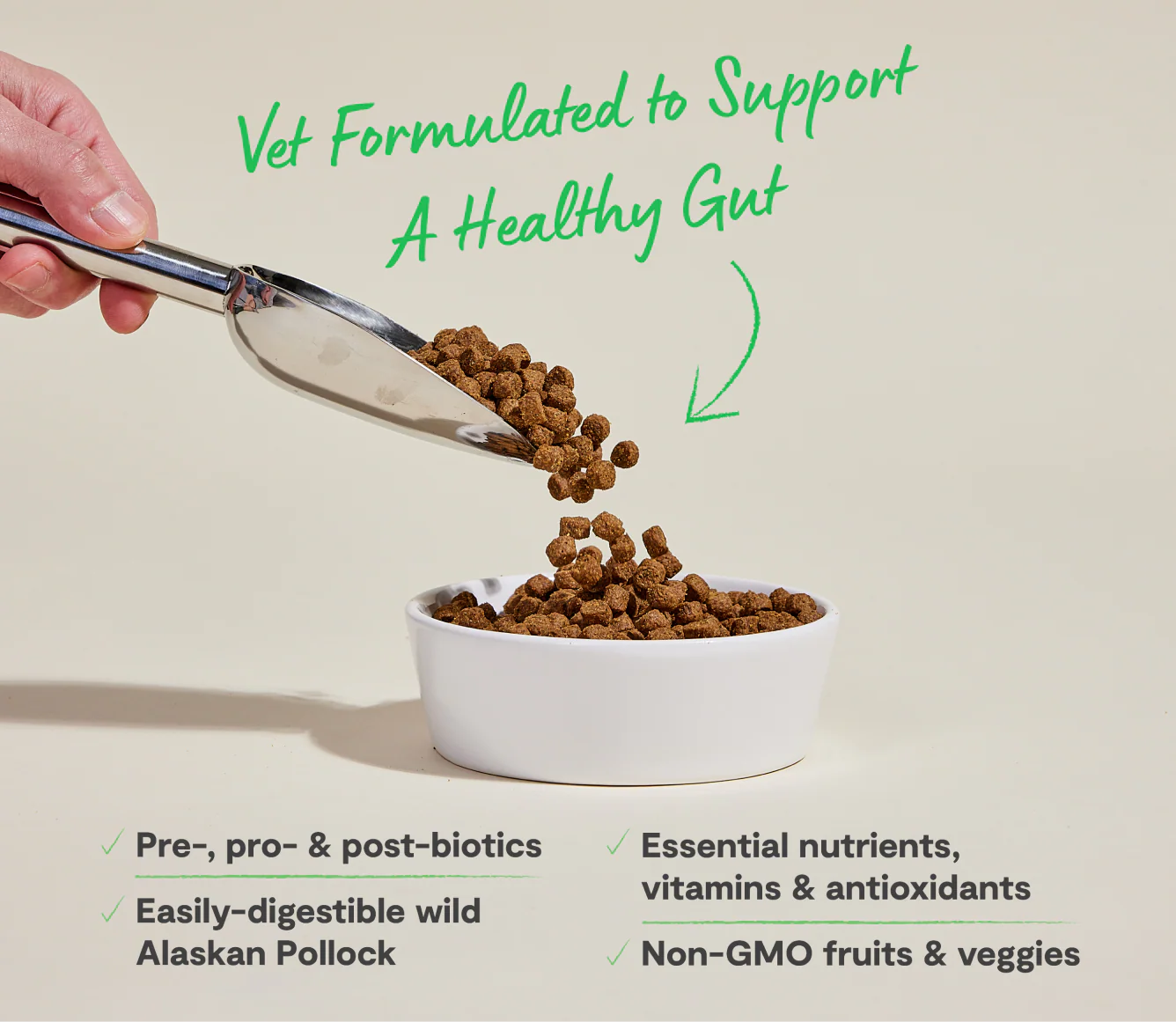 Pollock & Oatmeal Digestive Health Dog Kibble - Image 4
