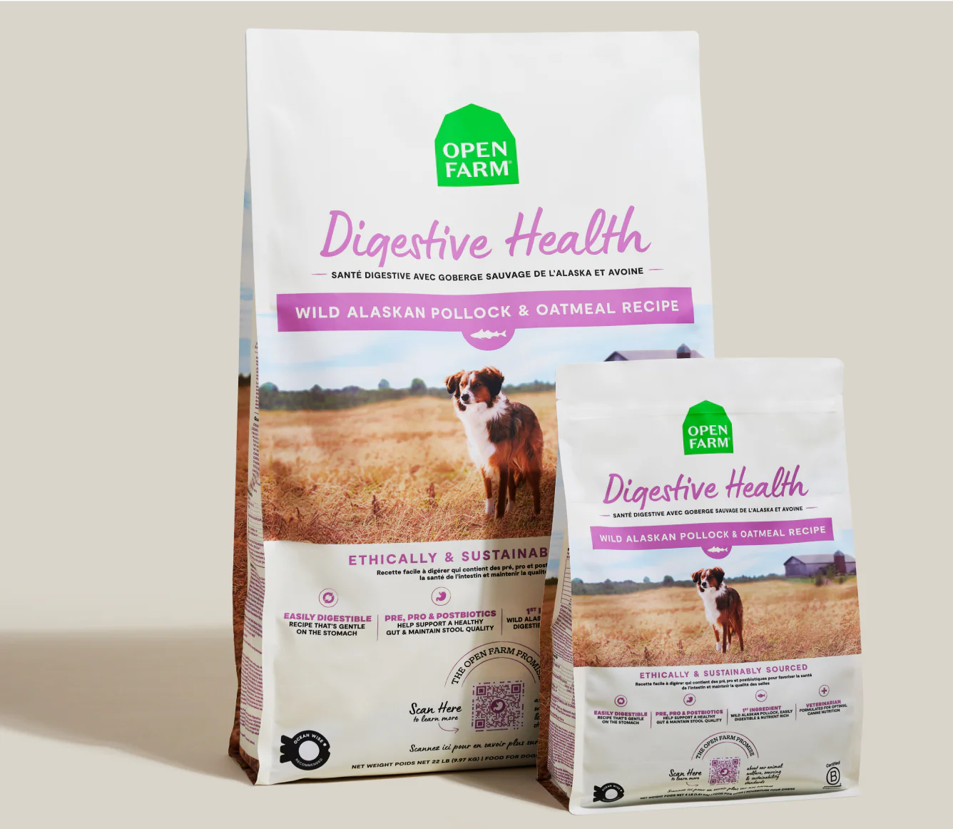 Pollock & Oatmeal Digestive Health Dog Kibble - Image 7