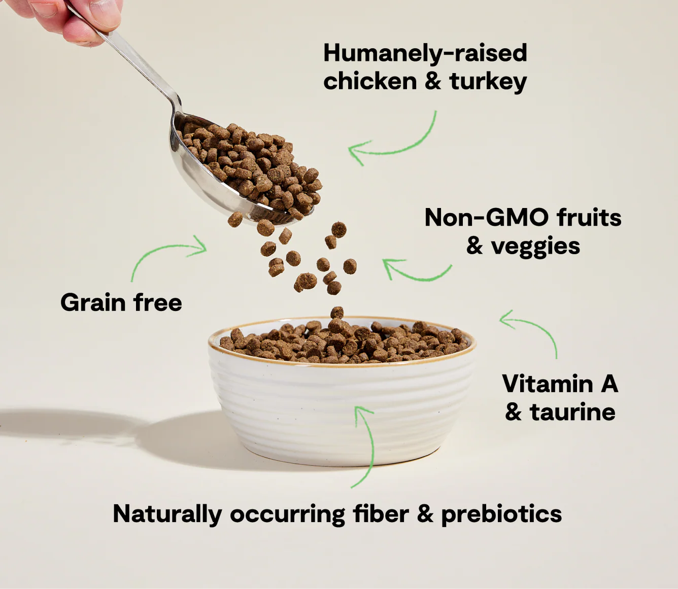 Chicken & Turkey Grain-Free Kitten Kibble - Image 4