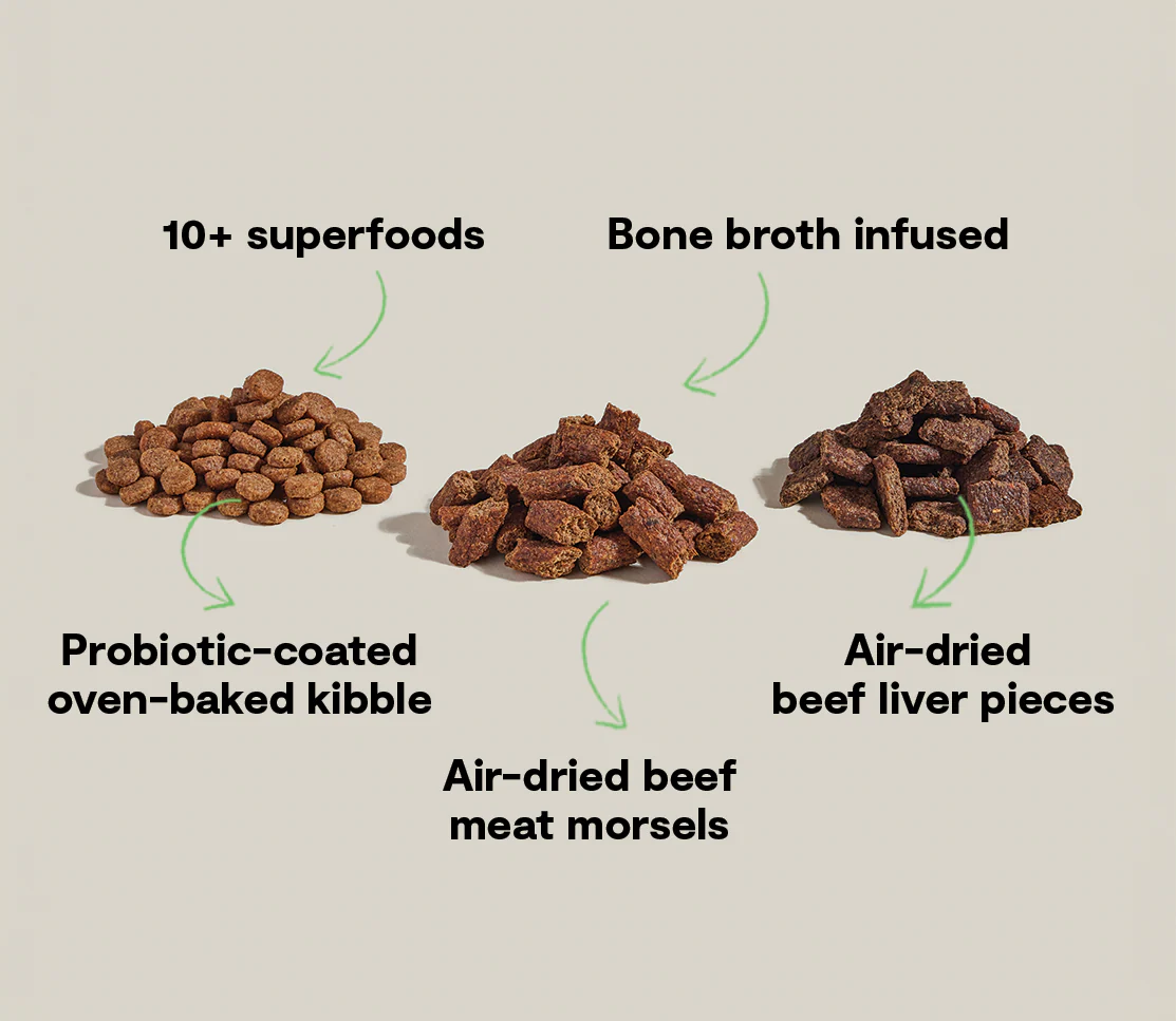 Epic Blend Beef & Superfood Dry Dog Food - Image 5