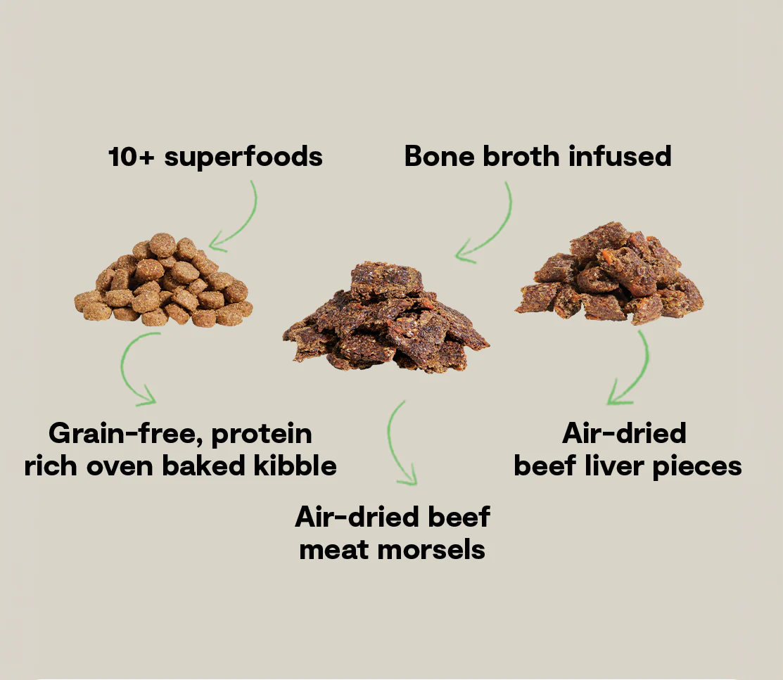 Epic Blend Beef & Superfood Grain-Free Dog Kibble - Image 4