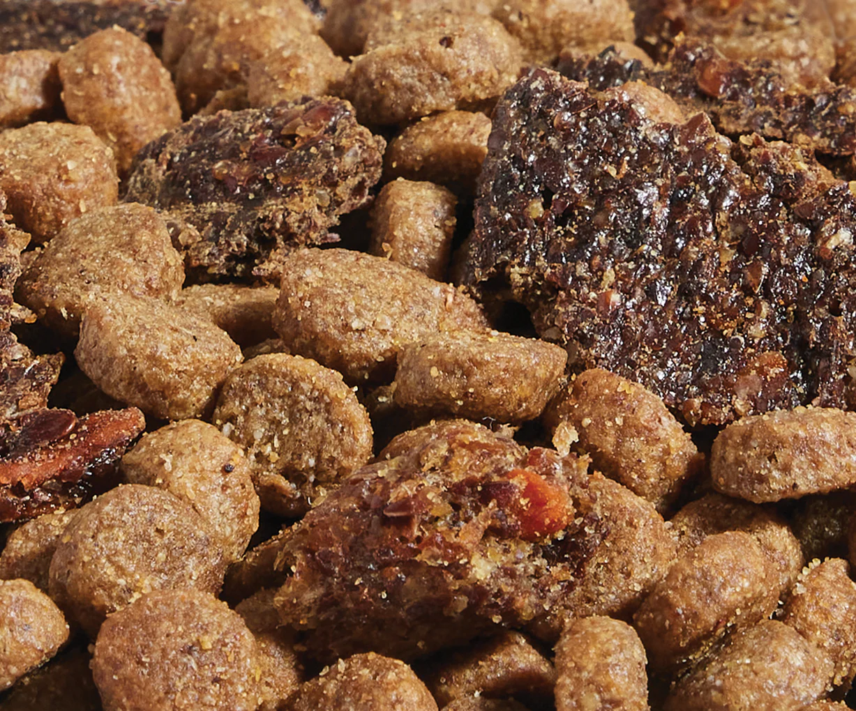 Epic Blend Beef & Superfood Grain-Free Dog Kibble - Image 5