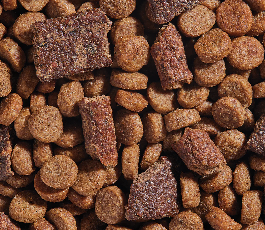 Epic Blend Beef & Superfood Dry Dog Food - Image 4