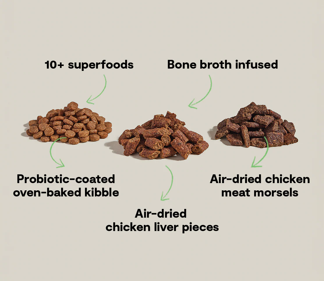 Epic Blend Chicken & Superfood Dry Dog Food - Image 5