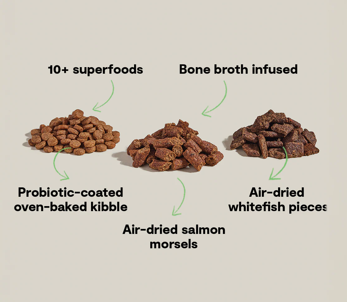 Epic Blend Salmon & Superfood Dry Dog Food - Image 5