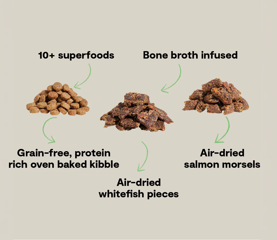 Epic Blend Salmon & Superfood Grain-Free Dog Kibble - Image 5