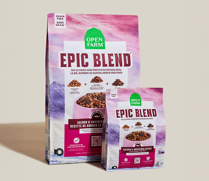Epic Blend Salmon & Superfood Grain-Free Dog Kibble - Image 7