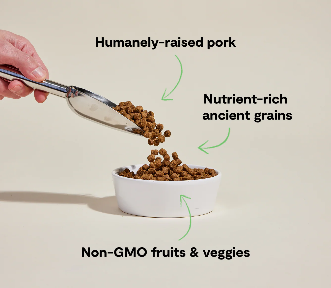 Farmer's Table Pork & Ancient Grains Dog Kibble - Image 4
