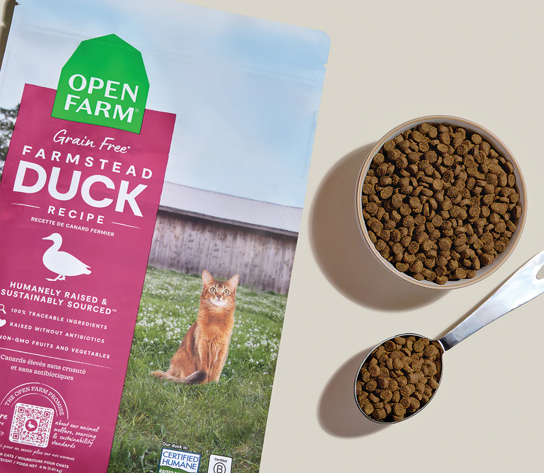 Farmstead Duck Grain-Free Cat Kibble - Image 3