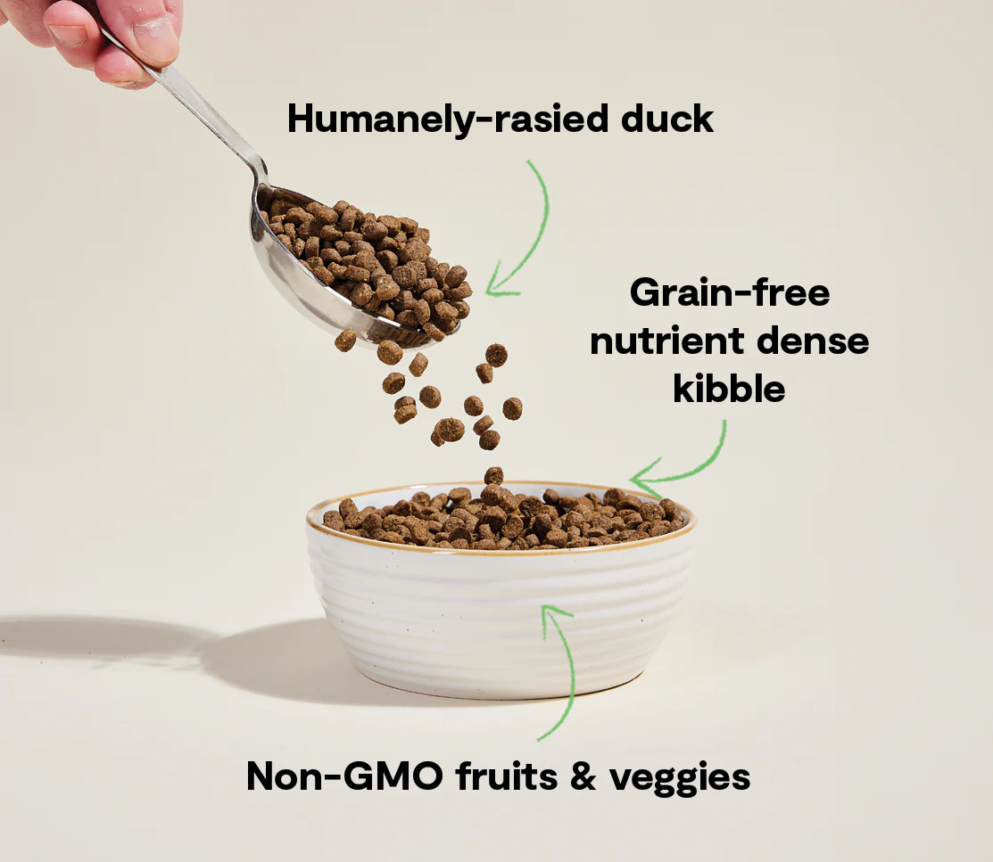 Farmstead Duck Grain-Free Cat Kibble - Image 4