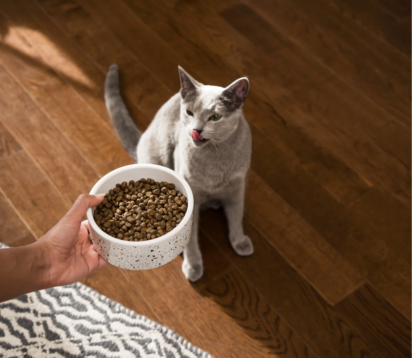Whitefish Grain-Free Cat Kibble - Image 5