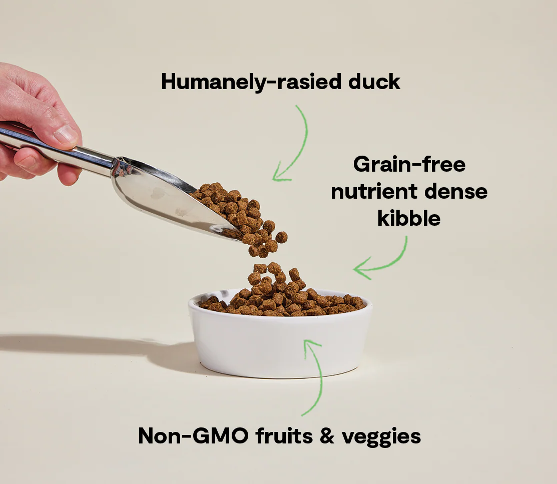 Farmstead Duck Grain-Free Dog Kibble - Image 4