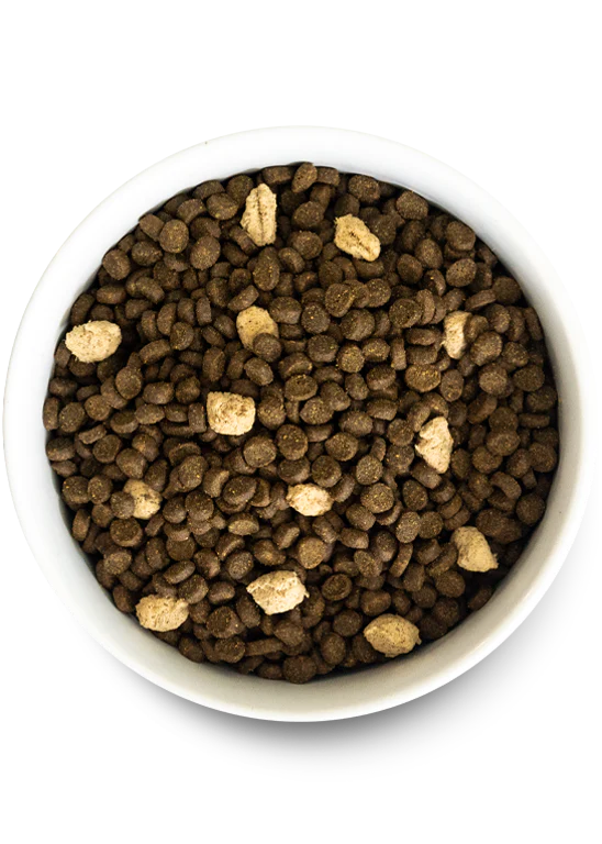 Feline RawMix Plus Bundle - Image 3