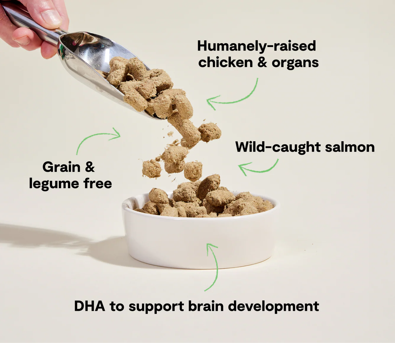 Chicken & Salmon Freeze Dried Raw Morsels for Puppies - Image 4