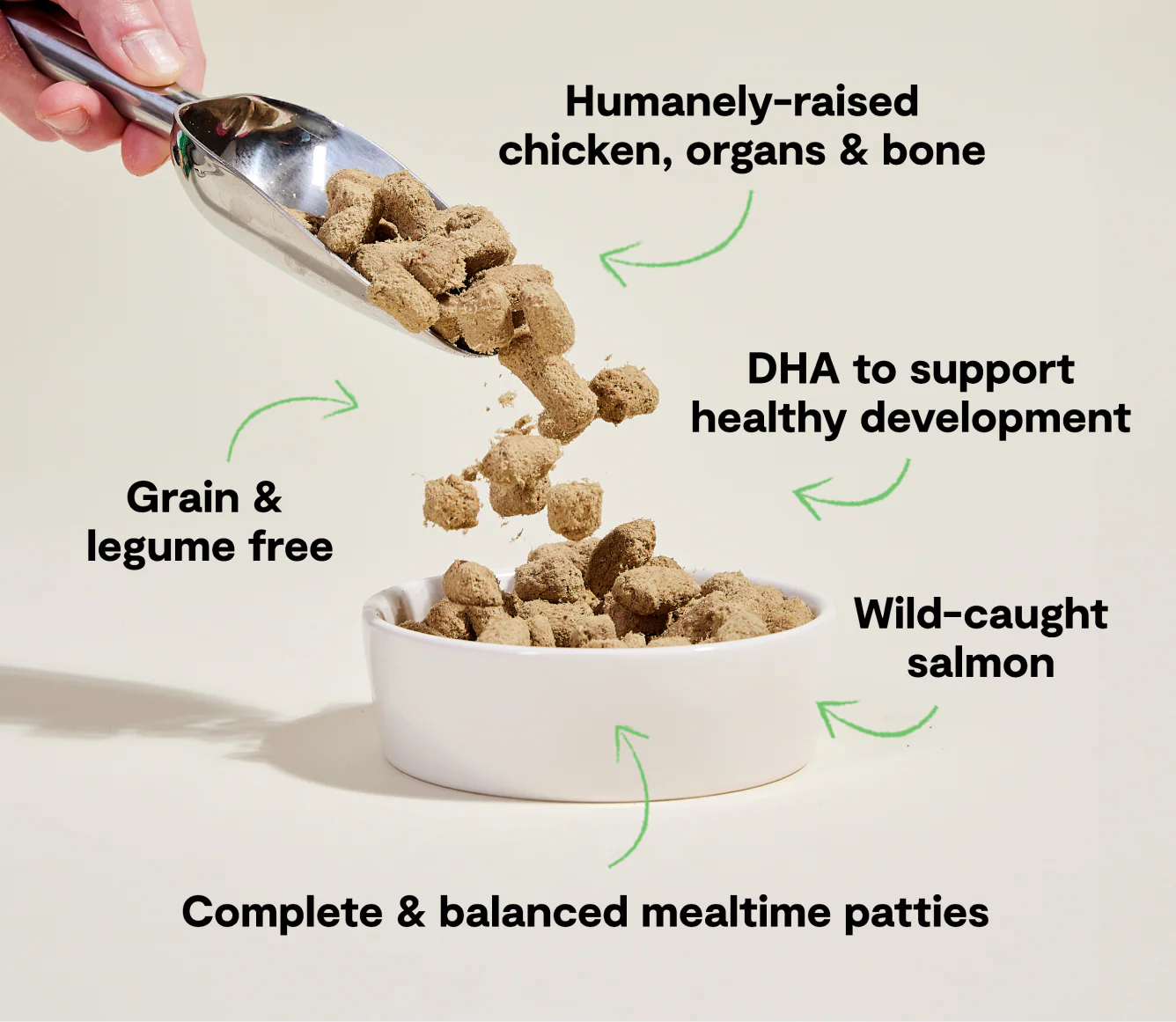 Chicken & Salmon Freeze Dried Raw Patties for Puppies - Image 4