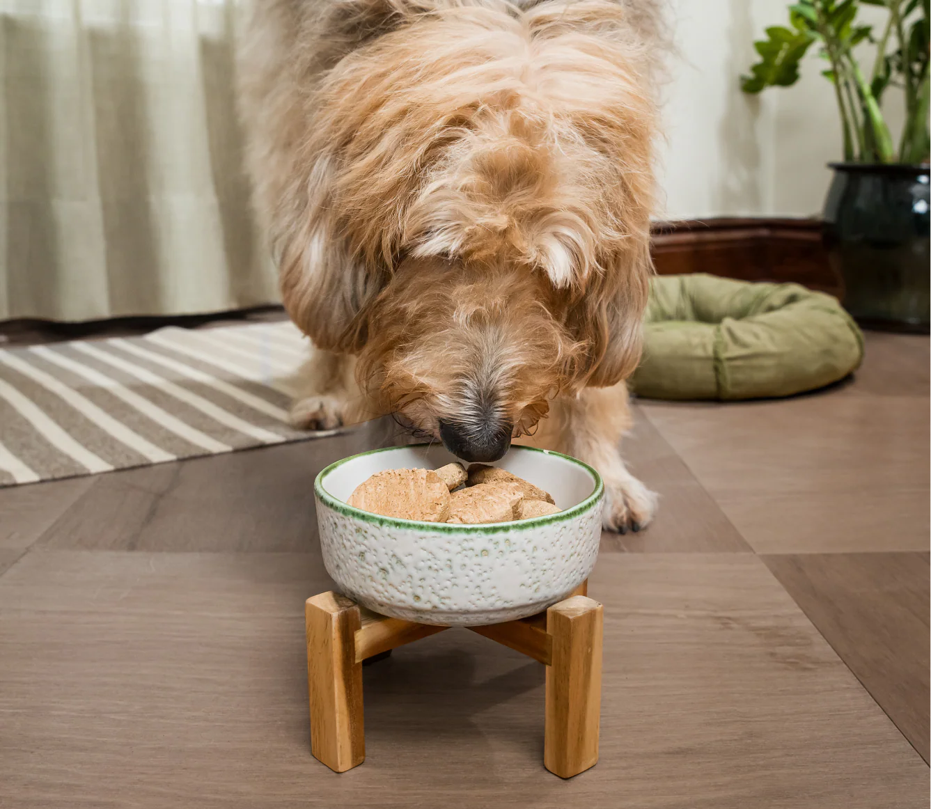 Surf & Turf Freeze Dried Raw Patties for Dogs - Image 5