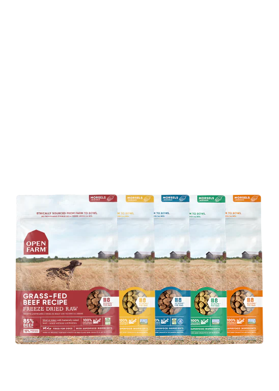 Freeze Dried Raw Variety Pack