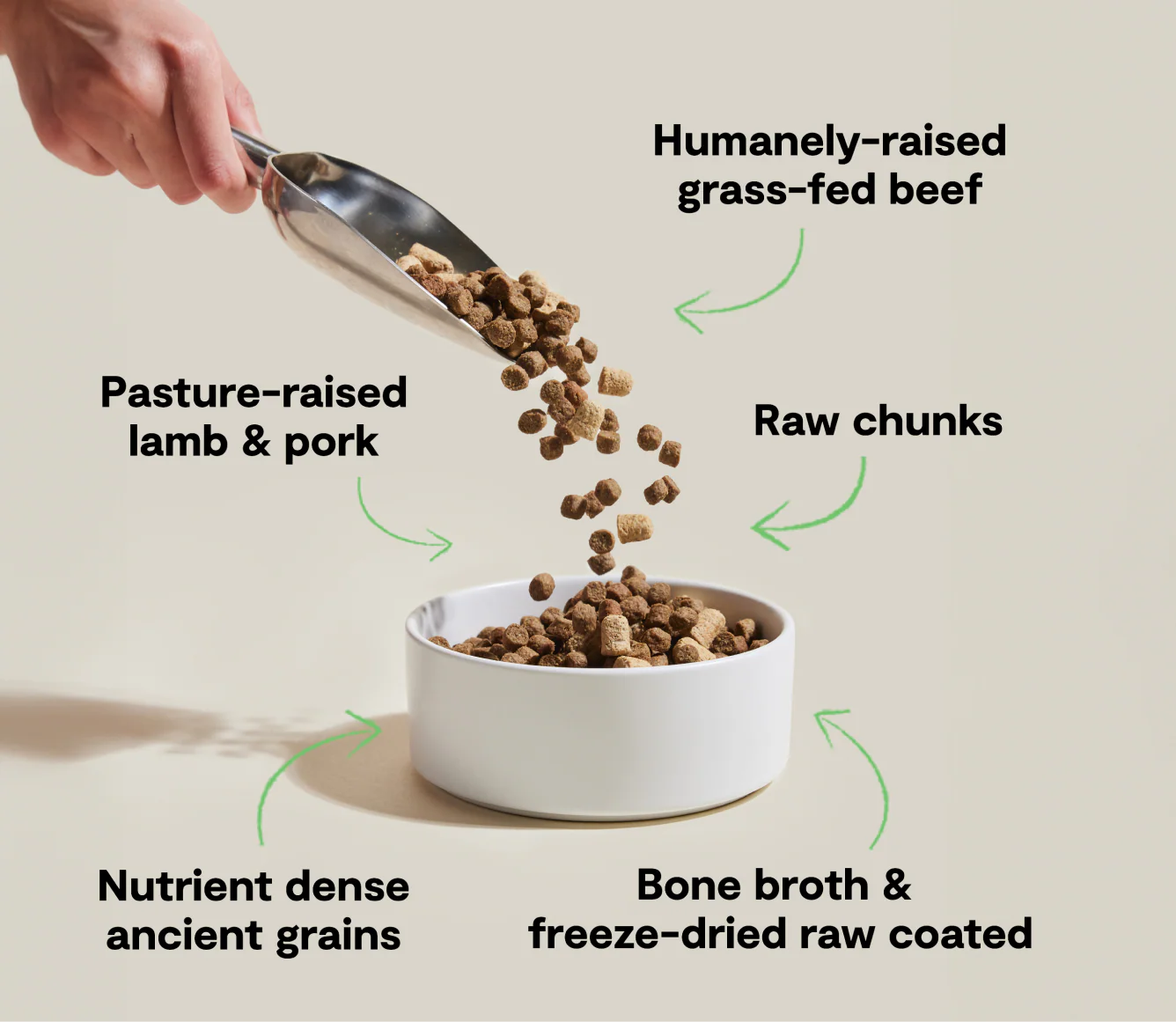 RawMix Front Range Ancient Grains Dog Kibble - Image 4