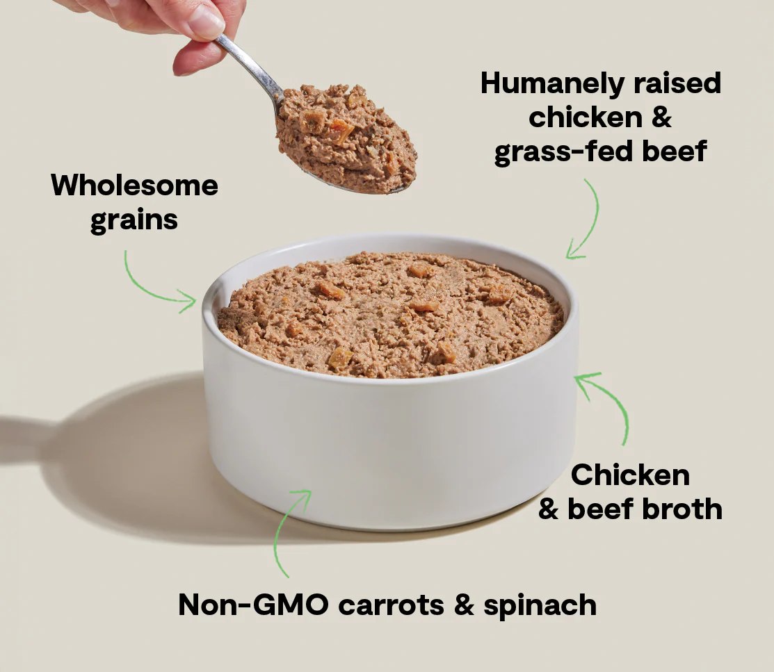 Goodbowl™ Harvest Chicken & Grass-Fed Beef Pâté for Dogs - Image 4