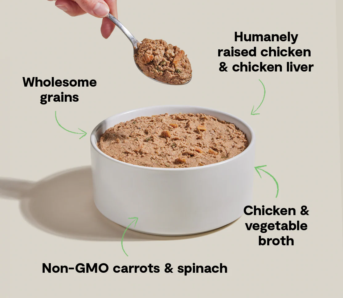 Goodbowl™ Harvest Chicken Pâté for Dogs - Image 4