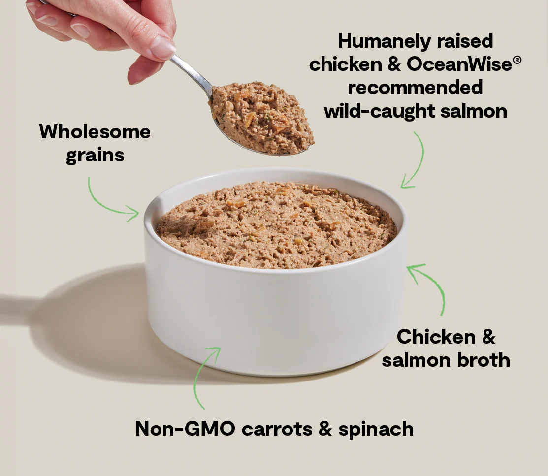 Goodbowl™ Harvest Chicken & Salmon Pâté for Dogs - Image 4