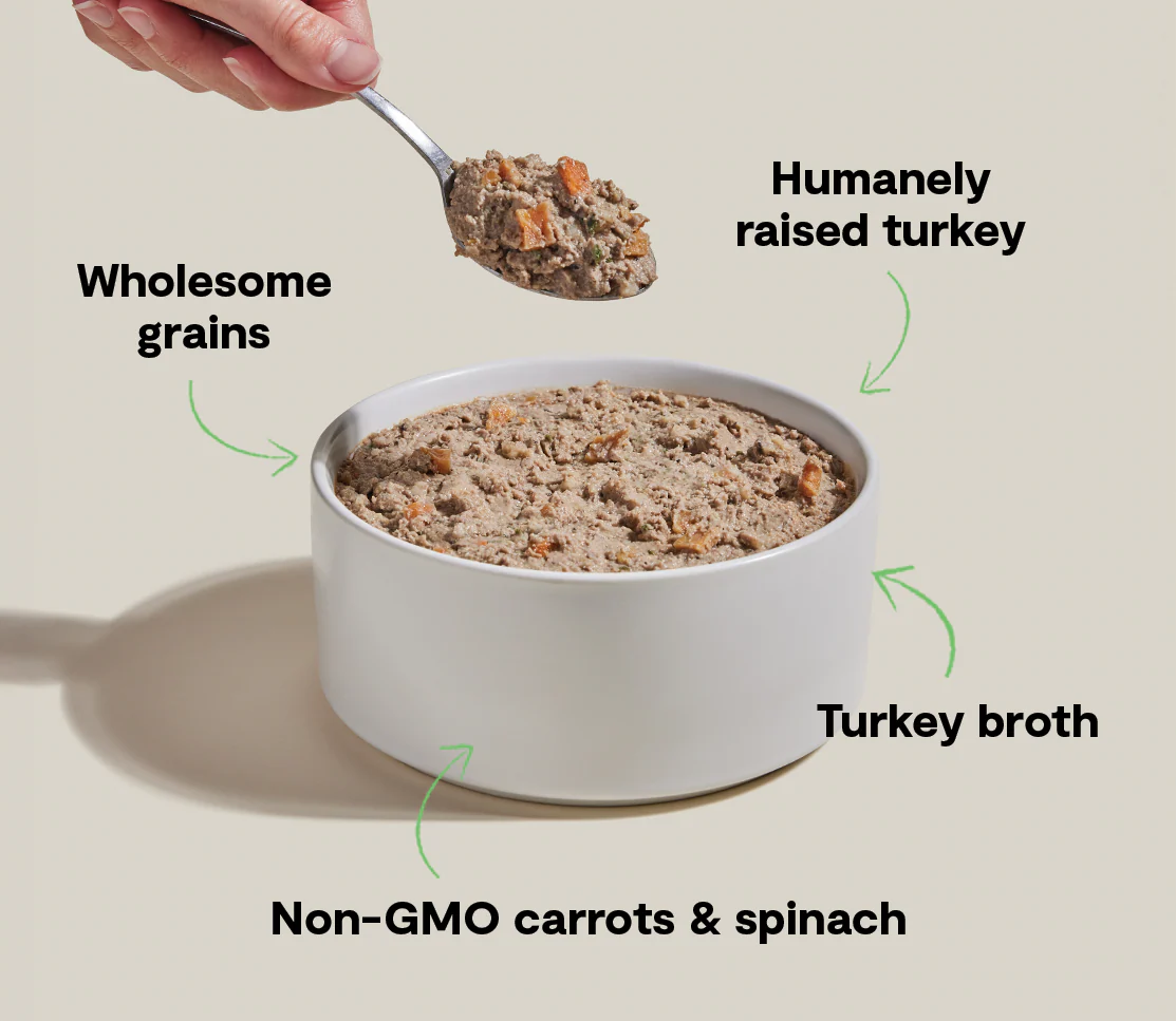 Goodbowl™ Homestead Turkey Pâté for Dogs - Image 4