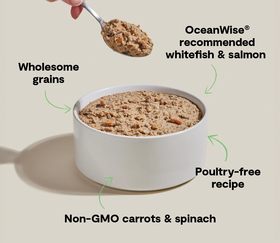 Goodbowl™ Wild-Caught Whitefish & Salmon Pâté for Dogs - Image 4