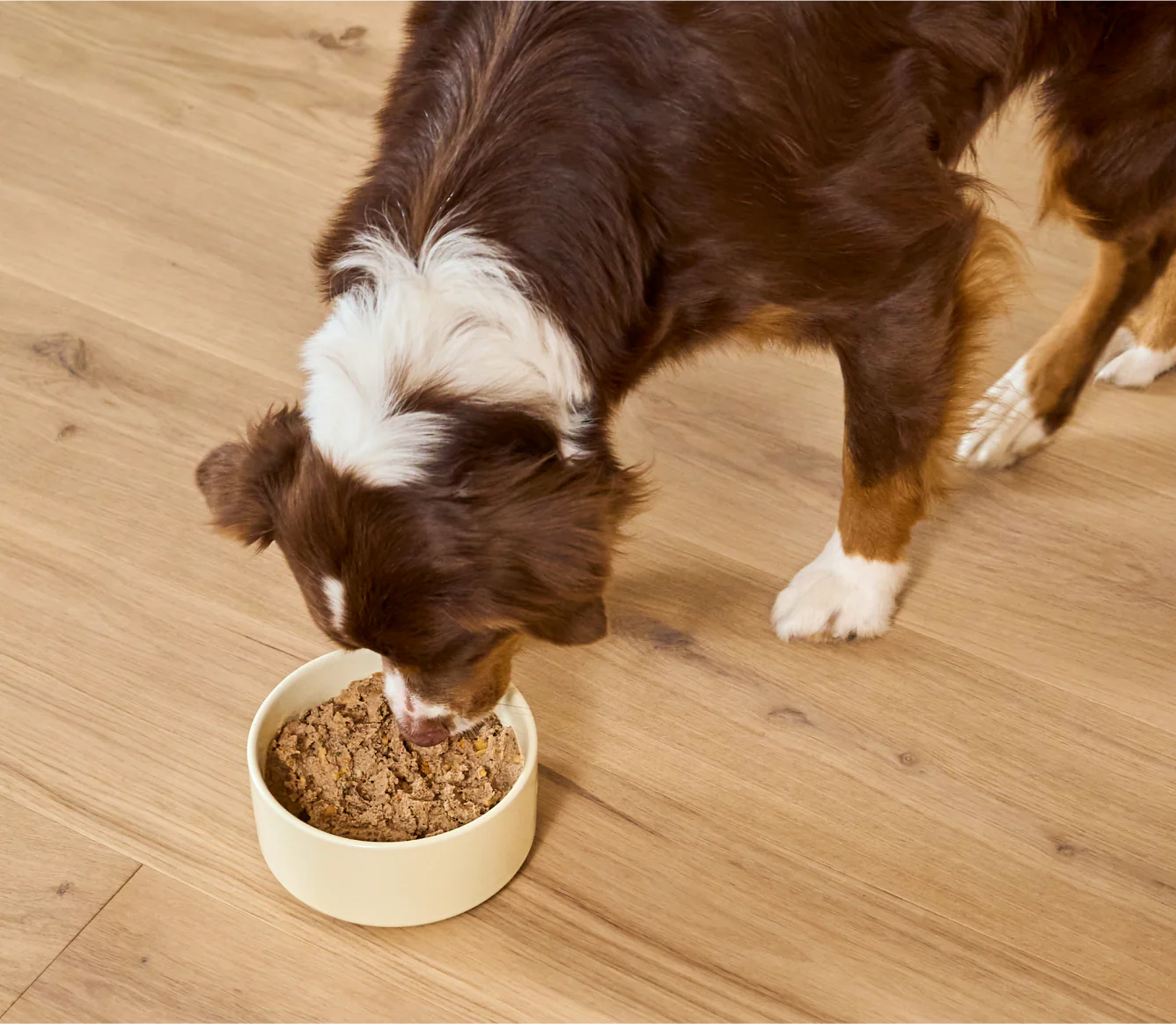 Chicken & Grass-Fed Beef Pâté for Dogs - Image 5