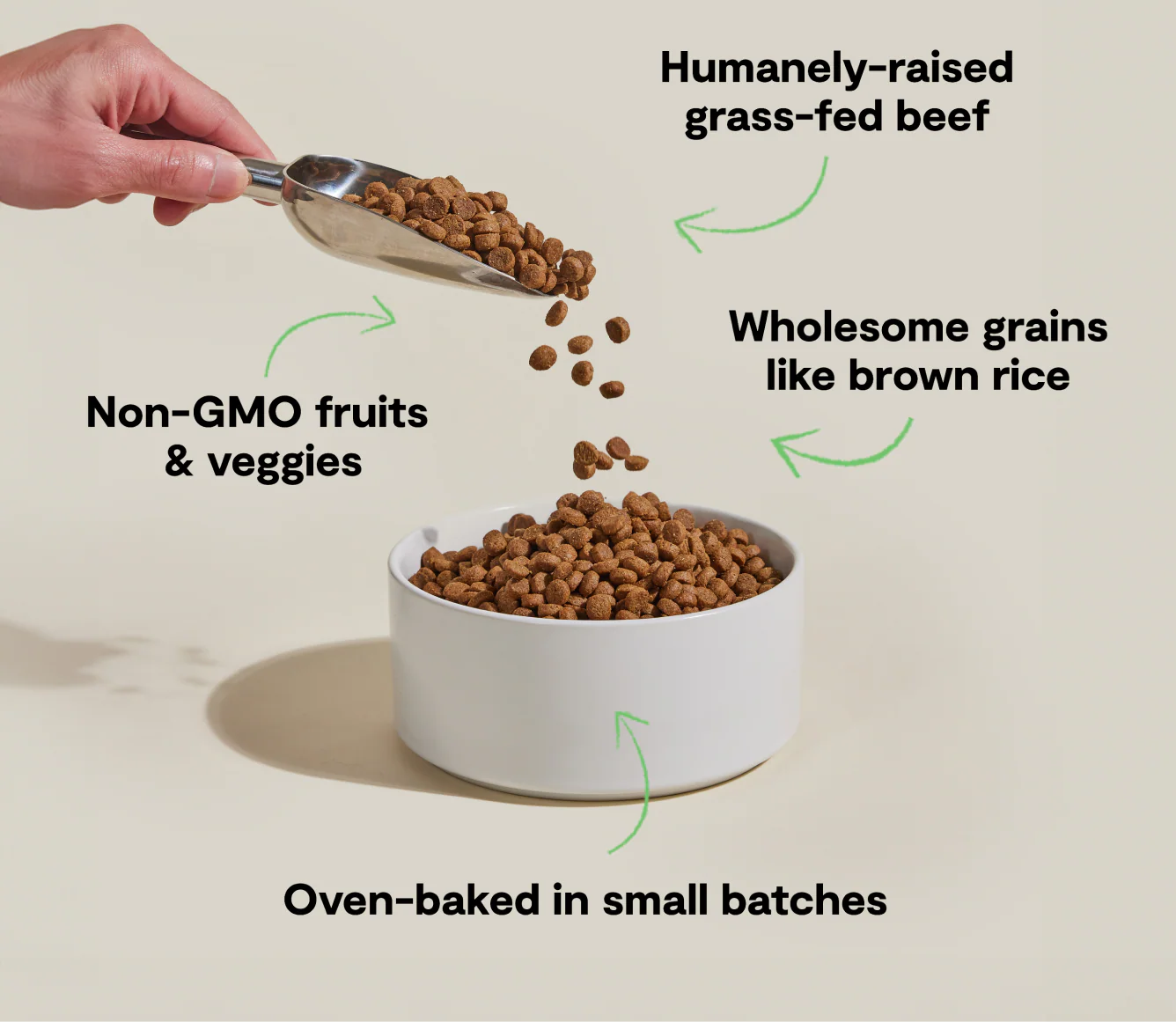 Goodbowl™ Grass-Fed Beef & Brown Rice Dog Kibble - Image 4