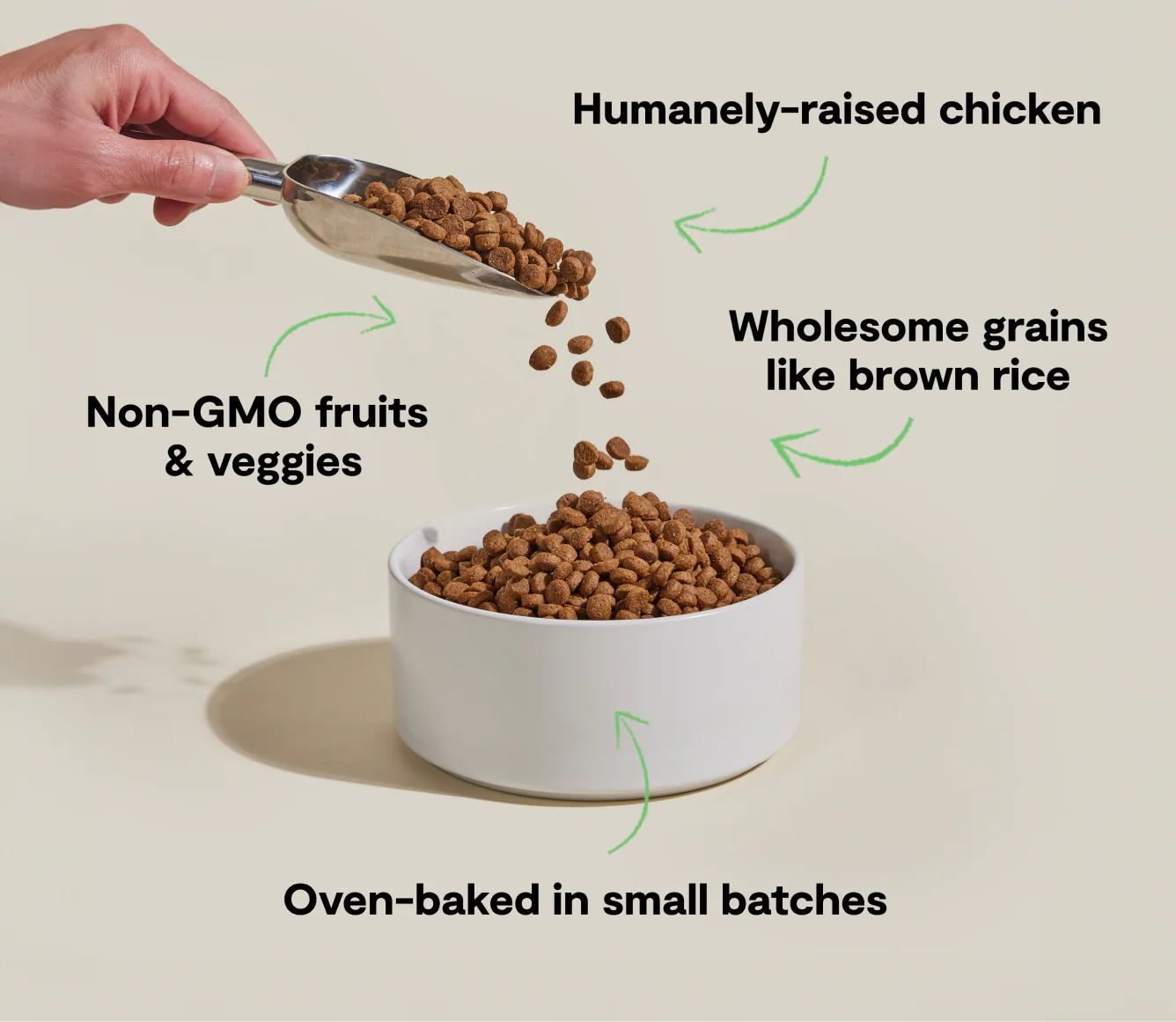 Goodbowl™ Harvest Chicken & Brown Rice Dog Kibble - Image 4
