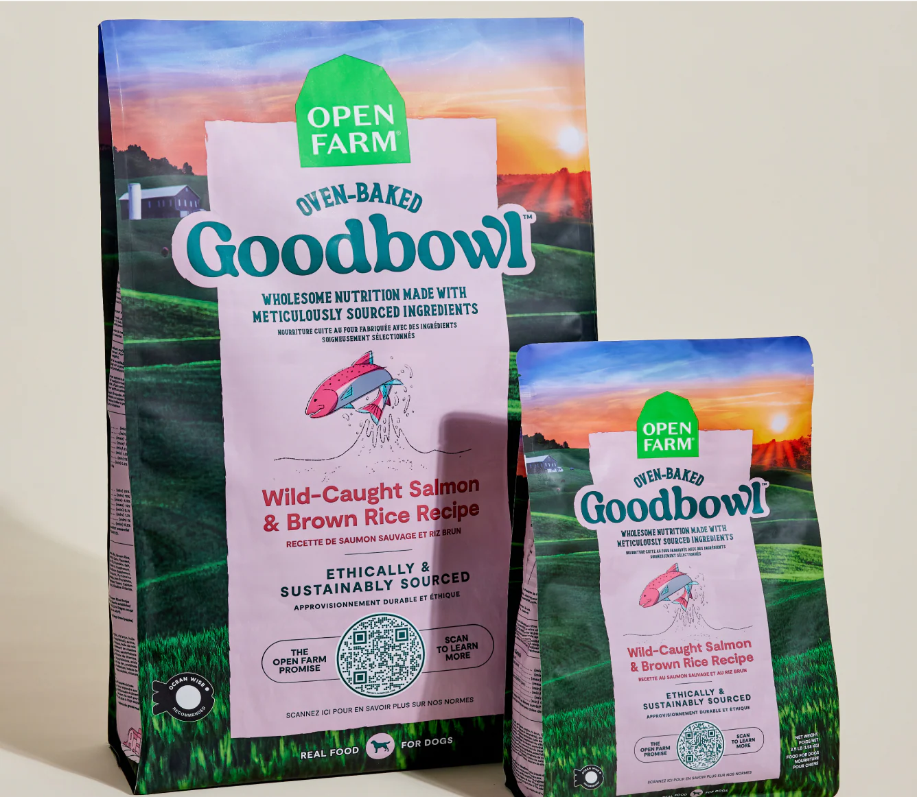 Goodbowl™ Wild-Caught Salmon & Brown Rice Dog Kibble - Image 7
