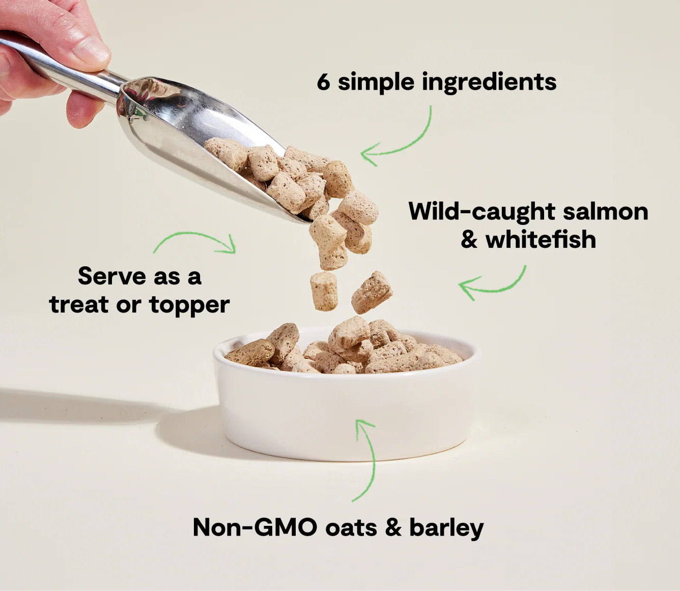 Goodbowl™ Wild-Caught Salmon Freeze Dried Raw Morsels for Dogs - Image 4